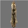 Image 1 : Canadian Wolf Pelt
