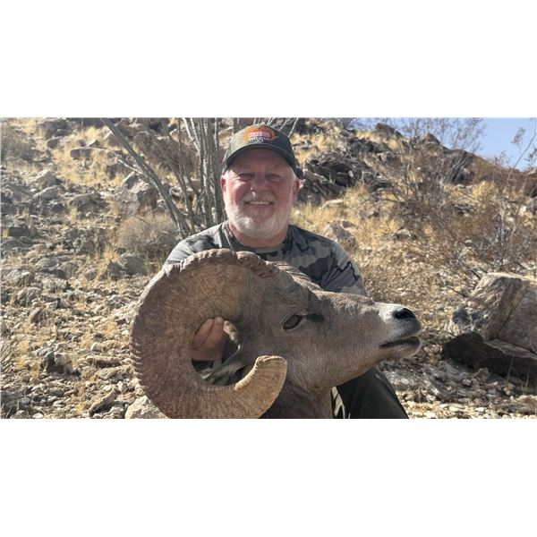 Mexico - Desert Bighorn Sheep Hunt in Sonora