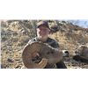 Image 1 : Mexico - Desert Bighorn Sheep Hunt in Sonora