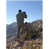 Image 2 : Mexico - Desert Bighorn Sheep Hunt in Sonora