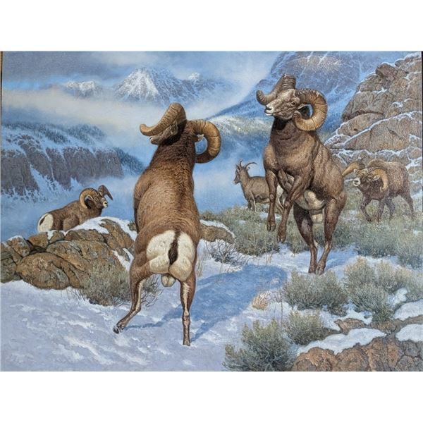 Artwork - Hayden Lambson, Original Oil Painting titled “High Country Combat”