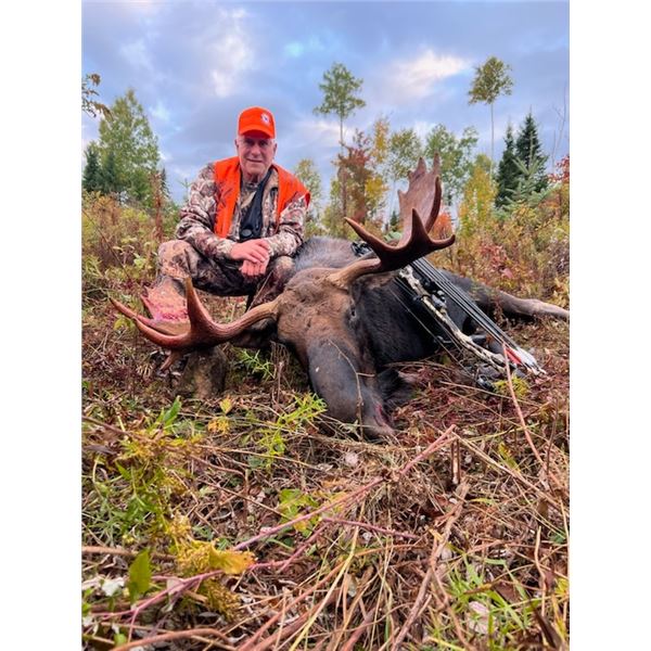 SN37  New Brunswick Provincial Moose Tag