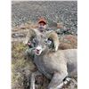 Image 1 : Wyoming - 2026 Governor's Tag for Rocky Mountain Bighorn Sheep