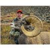 Image 2 : Wyoming - 2026 Governor's Tag for Rocky Mountain Bighorn Sheep