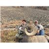 Image 4 : Wyoming - 2026 Governor's Tag for Rocky Mountain Bighorn Sheep