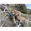 Image 5 : Wyoming - 2026 Governor's Tag for Rocky Mountain Bighorn Sheep