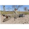 Image 1 : South Africa Crocodile Hunt FOR ONE HUNTER AND ONE OBSERVER