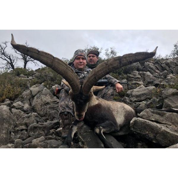 Spain 4 days 3 Nights Combination Hunt