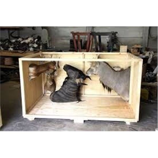 US Custom Broker of Hunting Trophies – Chicago, Dallas, Houston, or Atlanta