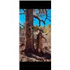 Image 2 : 5 Day Utah or Arizona Mountain Lion Hunt