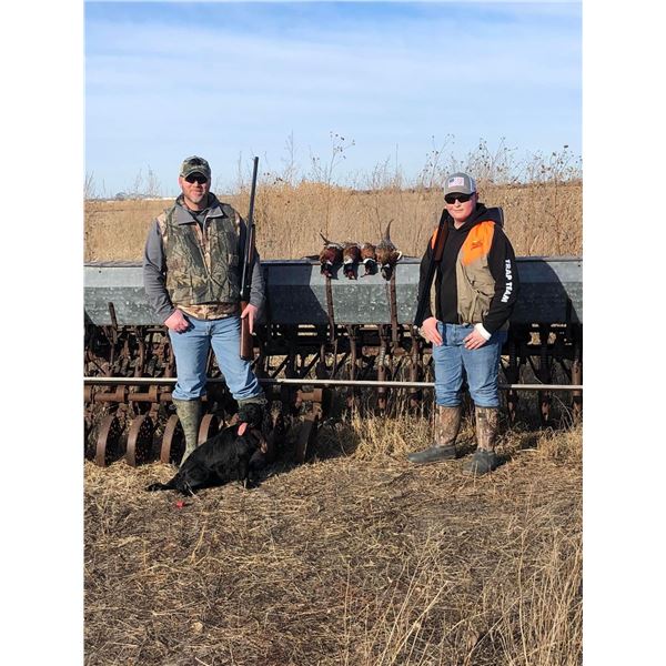 Nebraska – Pheasant Hunt for up to 4 Hunters and observers