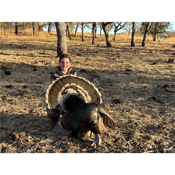 Mexico - Sonora Goulds Turkey Hunt for 2 hunters