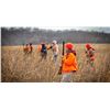 Image 3 : 1 Day Minnesota 10 Bird Pheasant Hunt for One Hunter and One Year Gun Club Membership