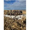 Image 2 : 4 Day North Dakota Duck & Goose Hunt for Two Hunters