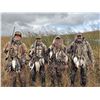 Image 4 : 4 Day North Dakota Duck & Goose Hunt for Two Hunters