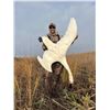 Image 6 : 4 Day North Dakota Duck & Goose Hunt for Two Hunters