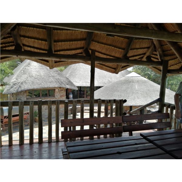 5 Day South Africa Safari for 2 Hunters includes 1 Zebra, 1 Springbuck, 1 Impala, and 1 Blesbuck