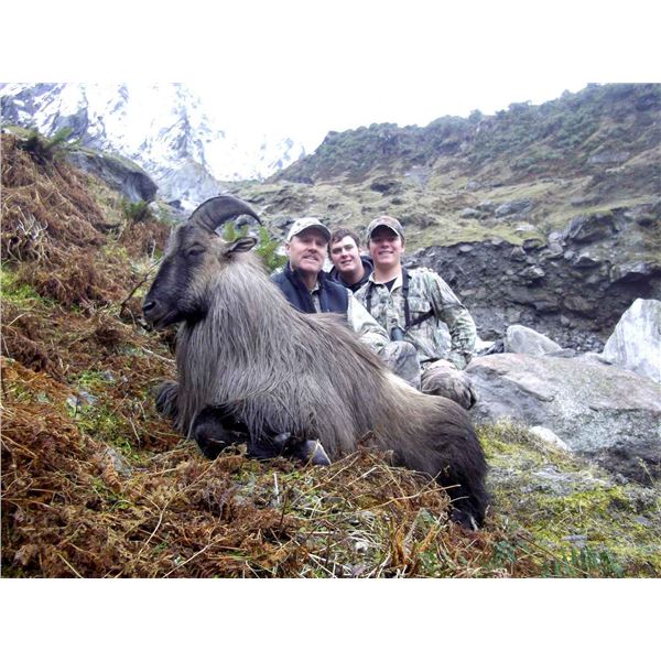 4 Day New Zealand Bull Tahr for One Hunter