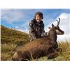 Image 5 : 4 Day New Zealand Bull Tahr for One Hunter