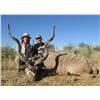 Image 10 : 5 Day Namibia Gemsbok & Warthog Hunt for Two Hunters & Two Non-Hunters