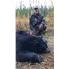 Image 22 : 6 Day Minnesota Black Bear Hunt for One Hunter