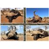 Image 1 : 5 Day South Africa Cape Buffalo and Giraffe Hunt for One Hunter – 2026 Only