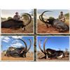 Image 5 : 5 Day South Africa Cape Buffalo and Giraffe Hunt for One Hunter – 2026 Only