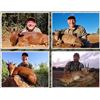Image 7 : 5 Day South Africa Cape Buffalo and Giraffe Hunt for One Hunter – 2026 Only