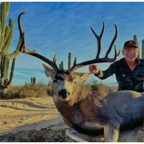 8 Day Sonora Mexico Desert Mule Deer Hunt for One Hunter