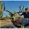 Image 1 : 8 Day Sonora Mexico Desert Mule Deer Hunt for One Hunter