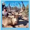 Image 2 : 8 Day Sonora Mexico Desert Mule Deer Hunt for One Hunter