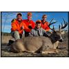 Image 2 : 5 Day Northern Wisconsin Whitetail Hunt for One Hunter – 2026 Only