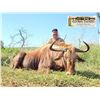 Image 5 : 10 Day South Africa Cape Buffalo Hunt for Two Hunters includes One Buffalo Bull