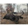 Image 9 : 10 Day South Africa Cape Buffalo Hunt for Two Hunters includes One Buffalo Bull