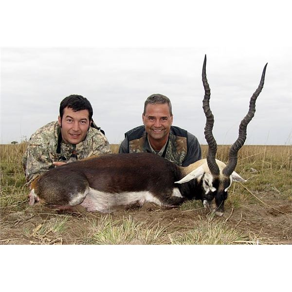 3 Day Argentina Blackbuck Hunt for Three Hunters
