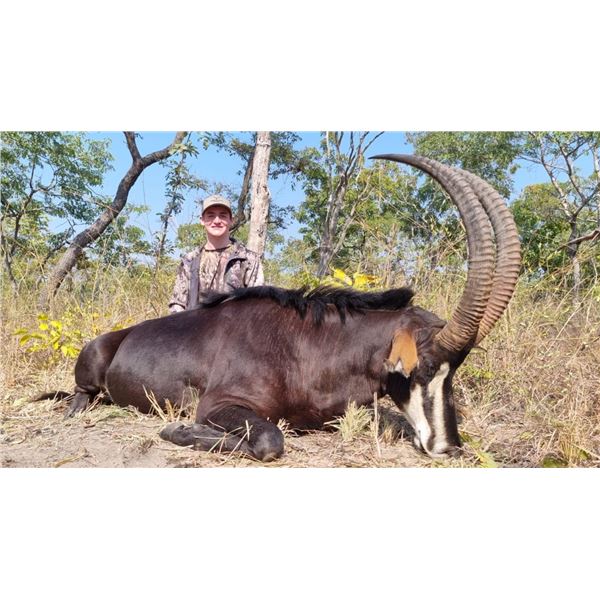 3 Day Niassa Mozambique Roosevelt Sable Hunt for One Hunter – 2026 Only