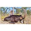 Image 1 : 3 Day Niassa Mozambique Roosevelt Sable Hunt for One Hunter – 2026 Only