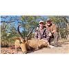 Image 4 : 3 Day Niassa Mozambique Roosevelt Sable Hunt for One Hunter – 2026 Only