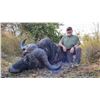 Image 8 : 3 Day Niassa Mozambique Roosevelt Sable Hunt for One Hunter – 2026 Only