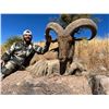 Image 1 : 4 Day West Texas Free Range Aoudad Hunt for One Hunter