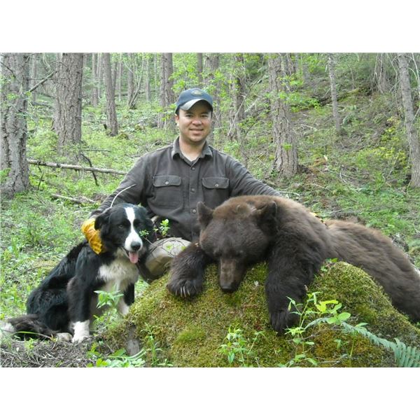5 Day Idaho Spring Bear and Wolf Hunt for One Hunter