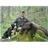 Image 1 : 5 Day Idaho Spring Bear and Wolf Hunt for One Hunter