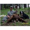 Image 3 : 5 Day Idaho Spring Bear and Wolf Hunt for One Hunter