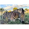 Image 10 : 7 Day South Africa Plains Game Safari for One Hunter and One Non-Hunter includes Five Trophies