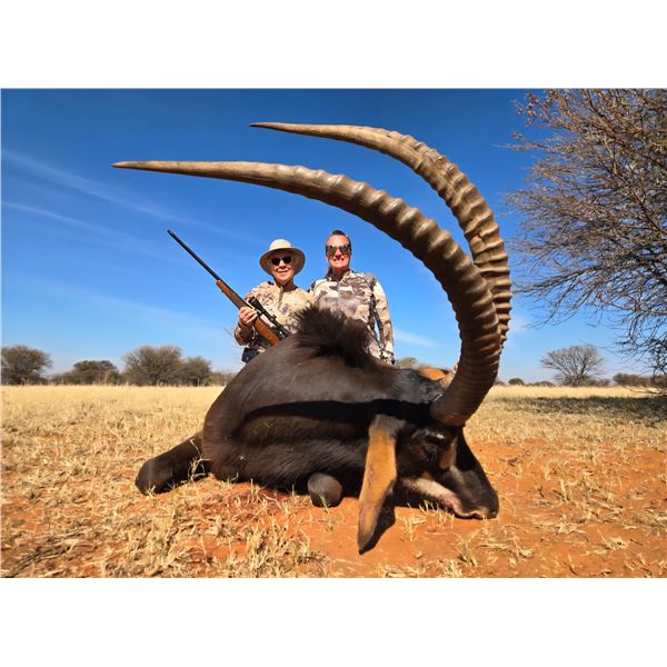 7 Day South Africa Plains Game Safari for One Hunter and One Non-Hunter includes Five Trophies