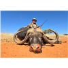 Image 2 : 7 Day South Africa Plains Game Safari for One Hunter and One Non-Hunter includes Five Trophies