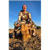 Image 3 : 7 Day South Africa Plains Game Safari for One Hunter and One Non-Hunter includes Five Trophies
