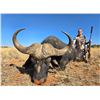 Image 4 : 7 Day South Africa Plains Game Safari for One Hunter and One Non-Hunter includes Five Trophies