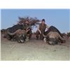 Image 1 : 7 Day South Africa Plains Game for Two Hunters includes $1,500 Trophy Fee Credit per Hunter