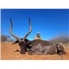 Image 2 : 7 Day South Africa Plains Game for Two Hunters includes $1,500 Trophy Fee Credit per Hunter